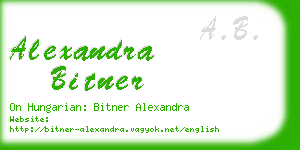 alexandra bitner business card